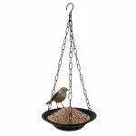 Bird Feeder